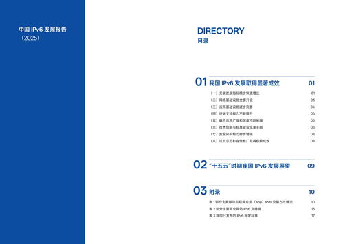 我國IPv6發展實現跨越式突破 2025年活躍用戶達8.65億推動互聯網開發與應用